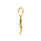 hanger sterrenbeeld 14K geelgoud