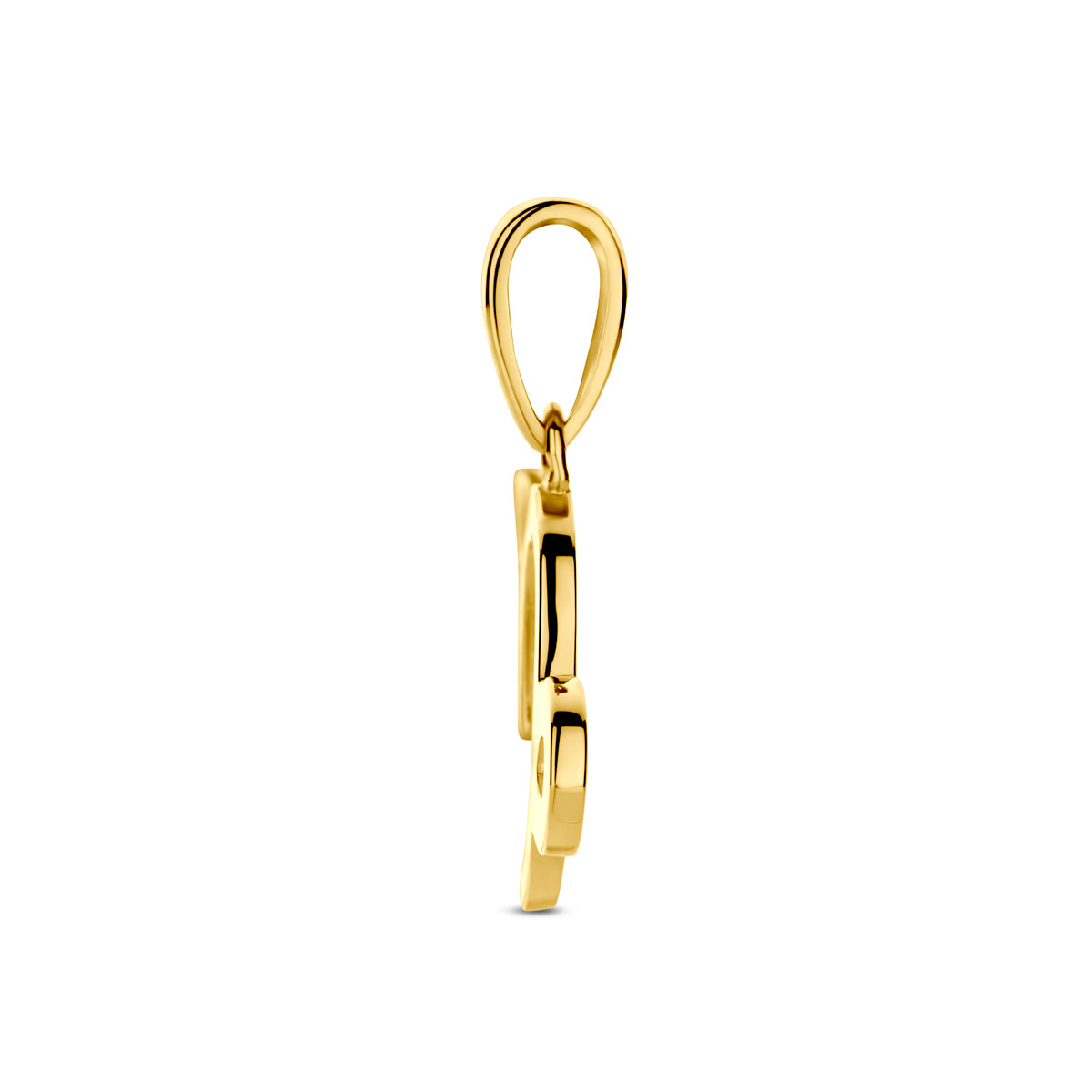 hanger sterrenbeeld 14K geelgoud