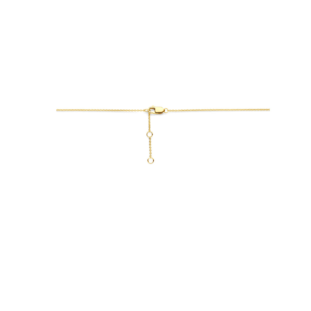 collier diamant 0.02ct h si 41 - 43 - 45 cm 14K geelgoud