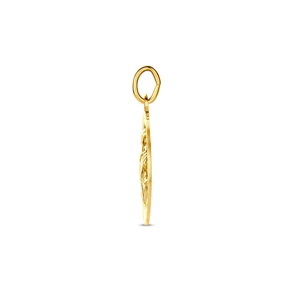 hanger sterrenbeeld gediamanteerd 14K geelgoud