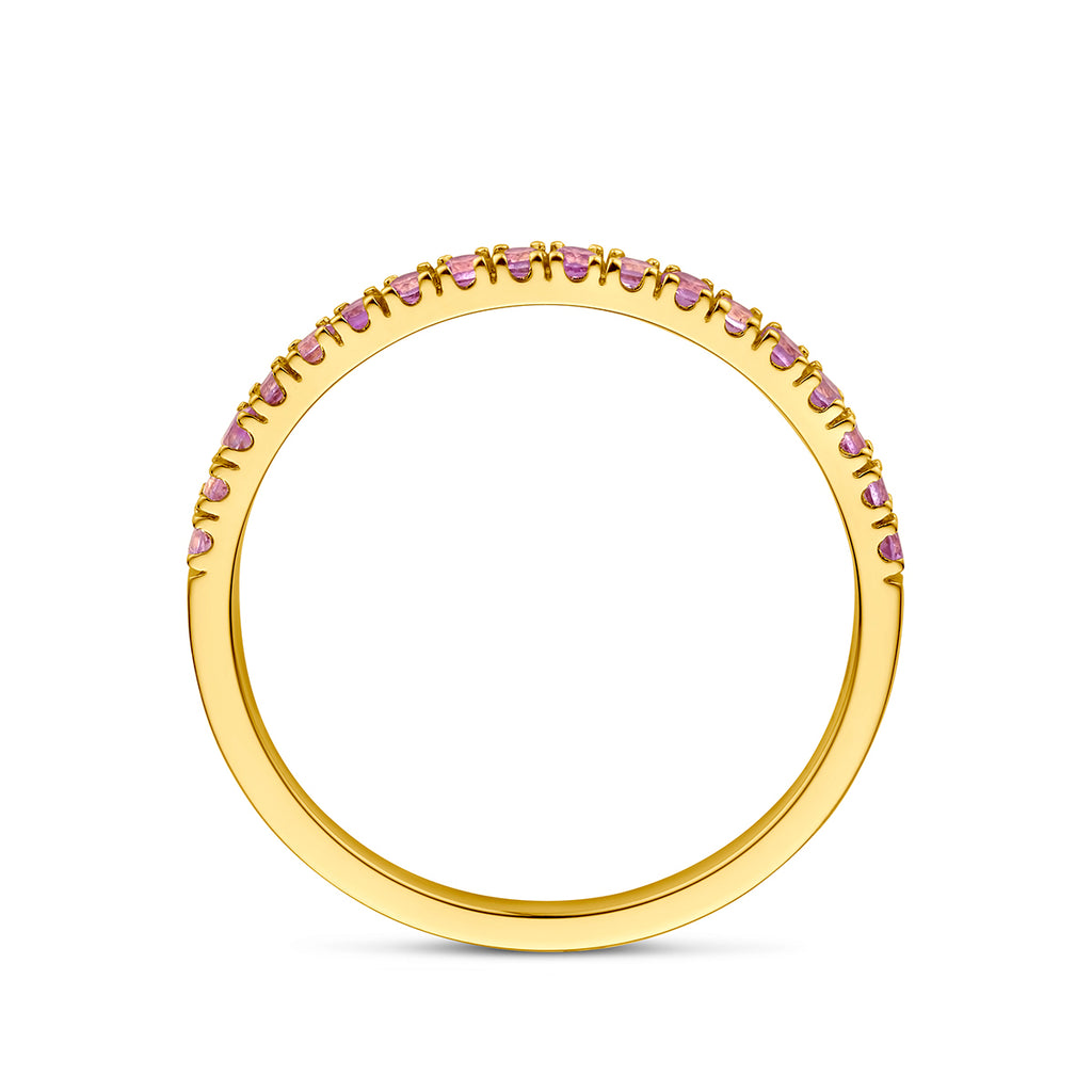 ring met geboortesteen licht amethist juni 14K geelgoud