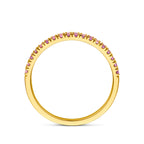 ring met geboortesteen licht amethist juni 14K geelgoud