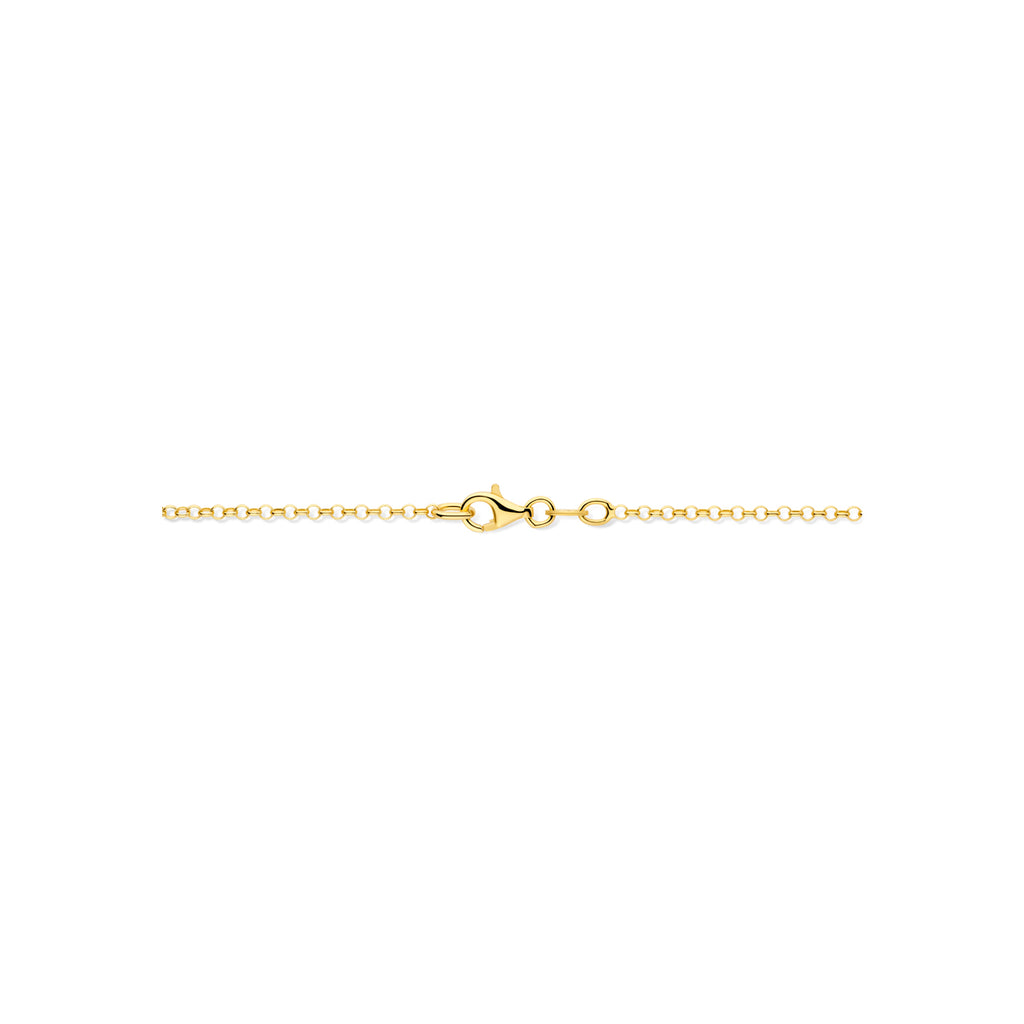 y-collier hartjes 45 cm 3 micron zilver verguld (geel)
