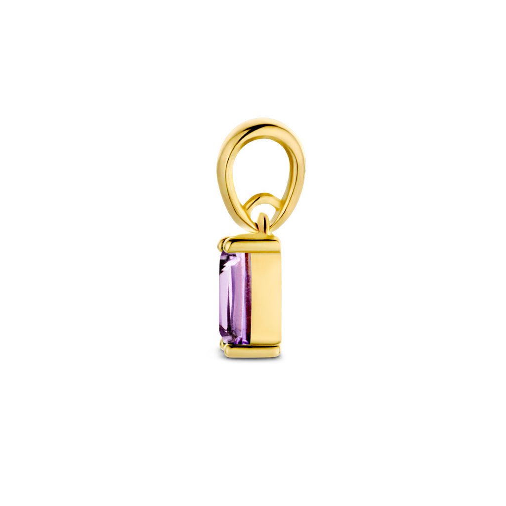 hanger met geboortesteen 9 mm 14K geelgoud