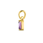 hanger met geboortesteen 9 mm 14K geelgoud