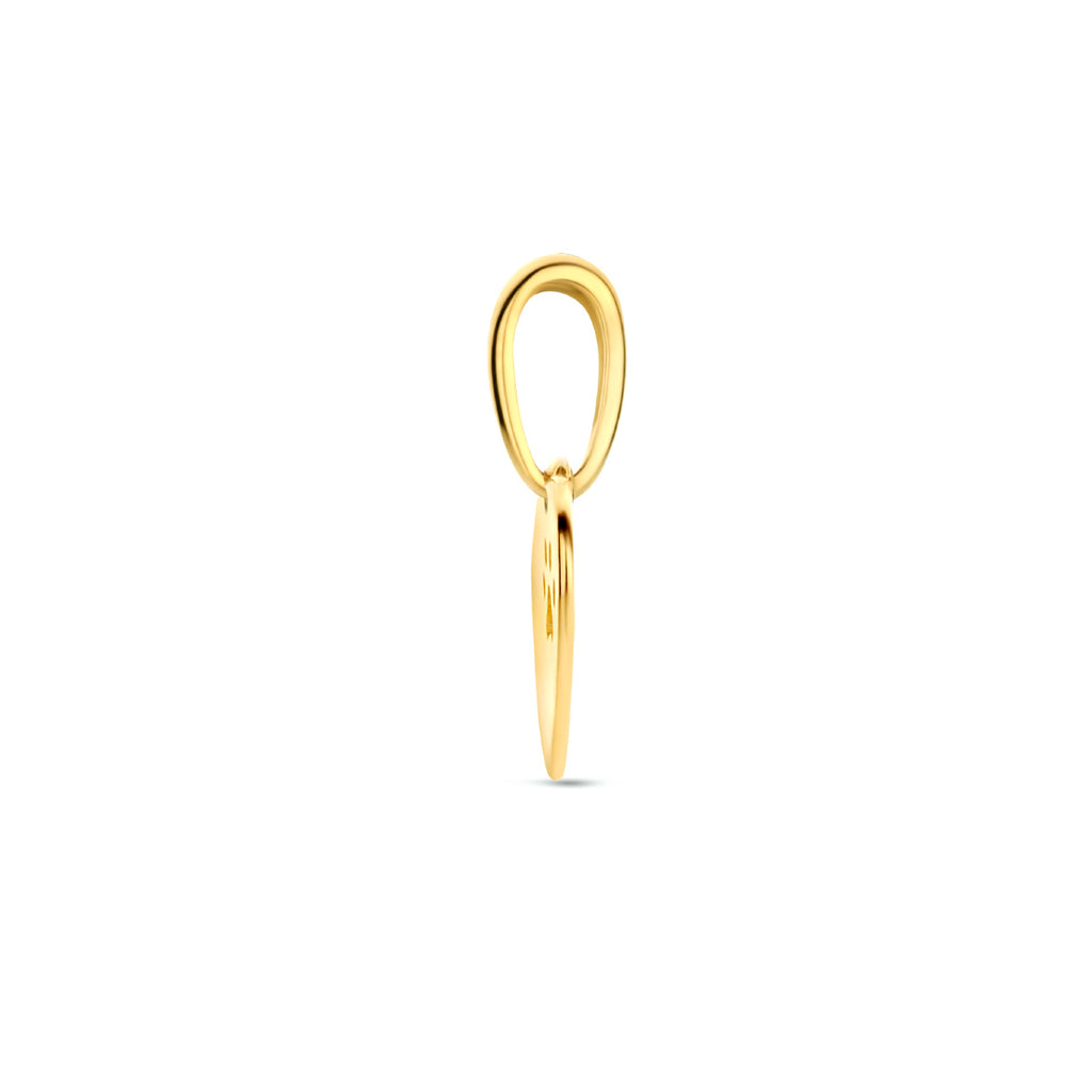 Gravuranhänger Herz Hundepfote 14K Gelbgold