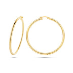 oorringen ronde buis 2.5 mm Silgold (geel met zilverkern)