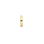 hanger hartje diamant 0.05ct h si 6,5 mm 14K geelgoud