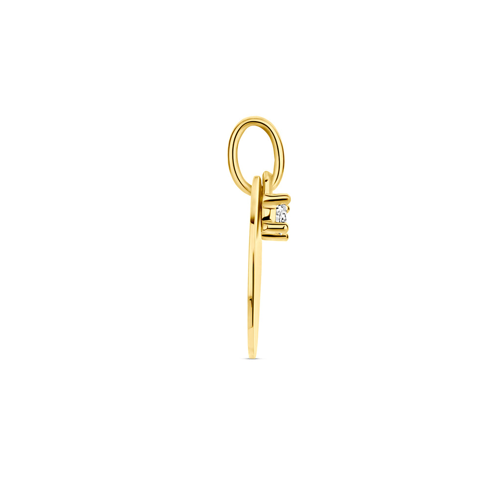 graveerhanger cirkel en diamant h si 14K geelgoud
