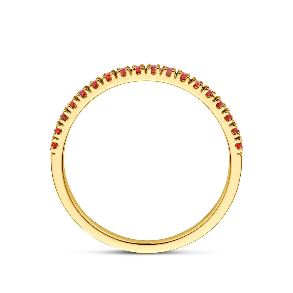 ring met geboortesteen granaat januari 14K geelgoud
