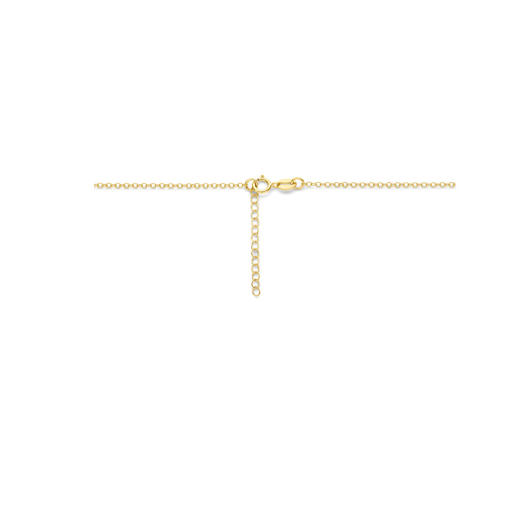 collier 42 + 3 cm 14K geelgoud
