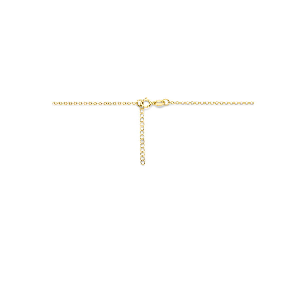 collier 42 + 3 cm 14K geelgoud