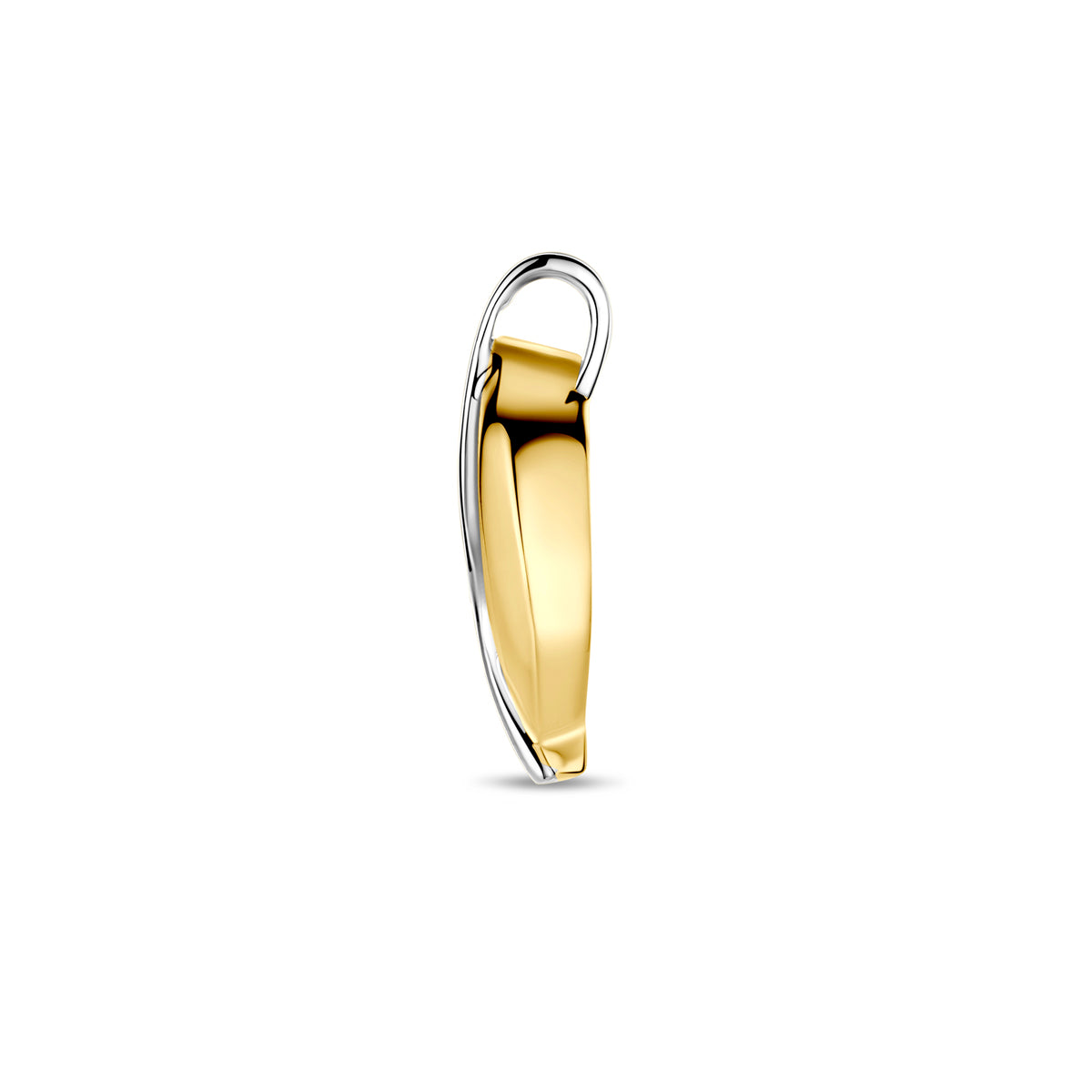 hanger lab grown diamant 0.03ct f vs 21 mm 14K bicolor goud geel/wit