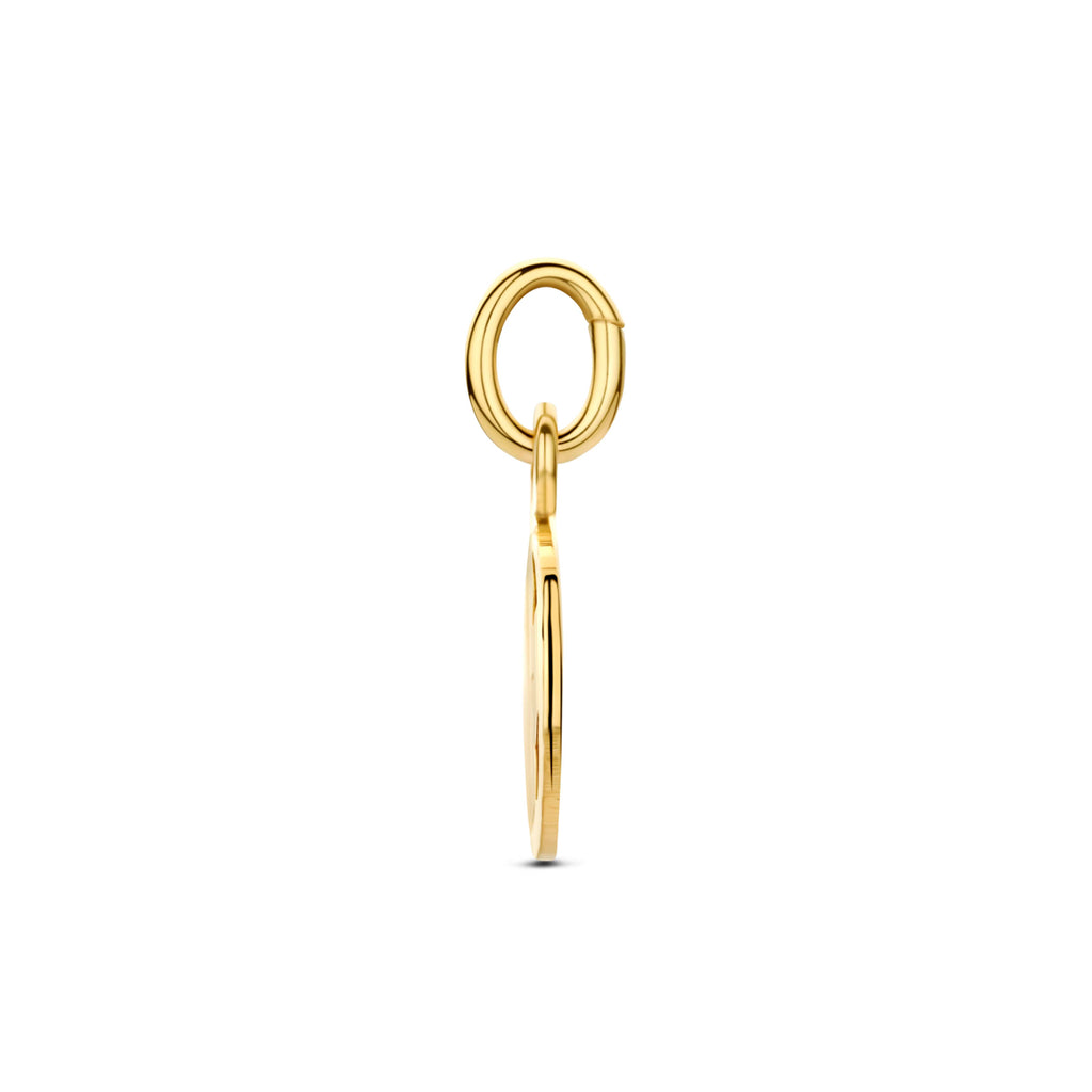9k hanger klavertje gediamanteerd 9K geel