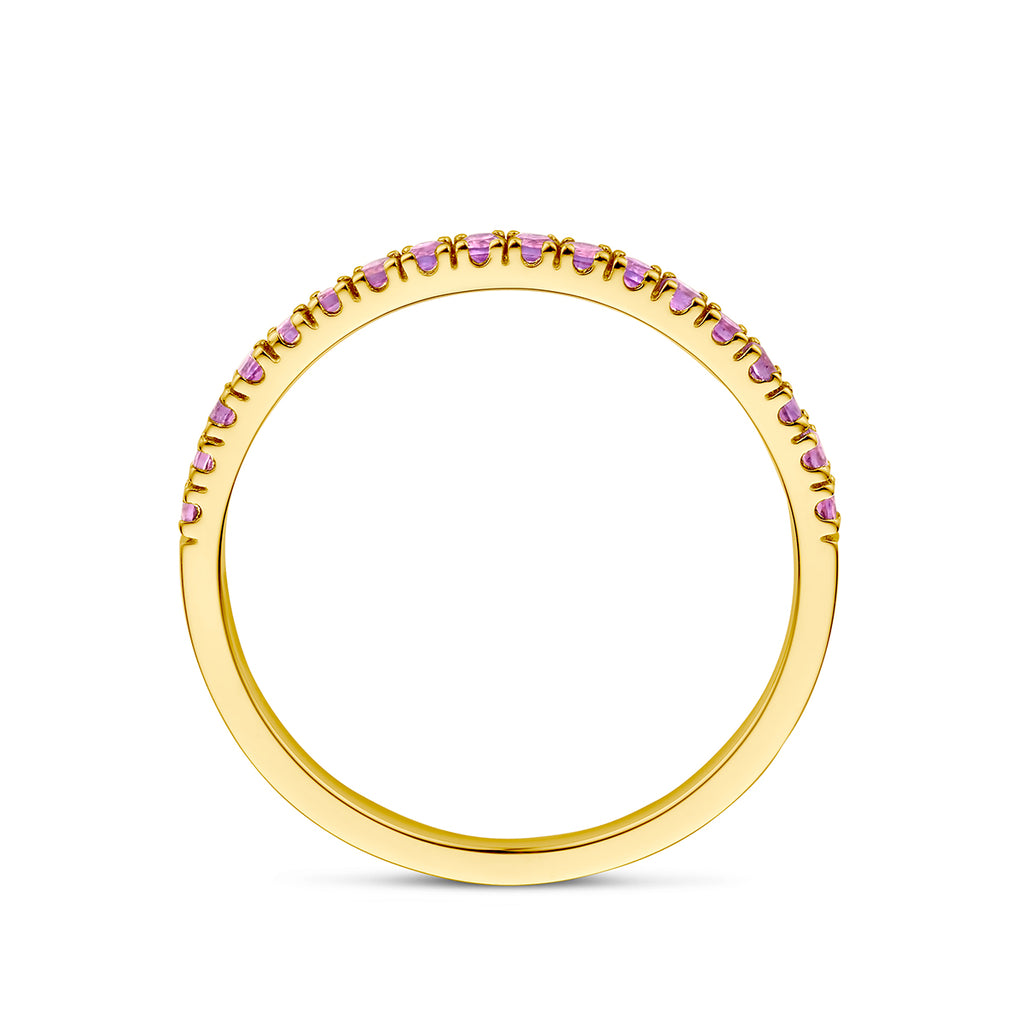 ring met geboortesteen amethist februari 14K geelgoud