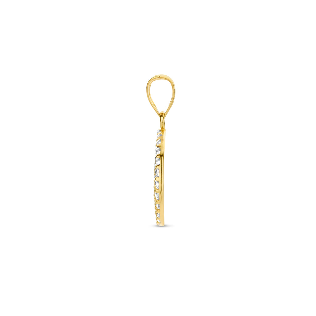 hanger rondje zirkonia 14K geelgoud