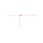 collier rondjes zirkonia 40 - 42 - 44 cm 14K roségoud