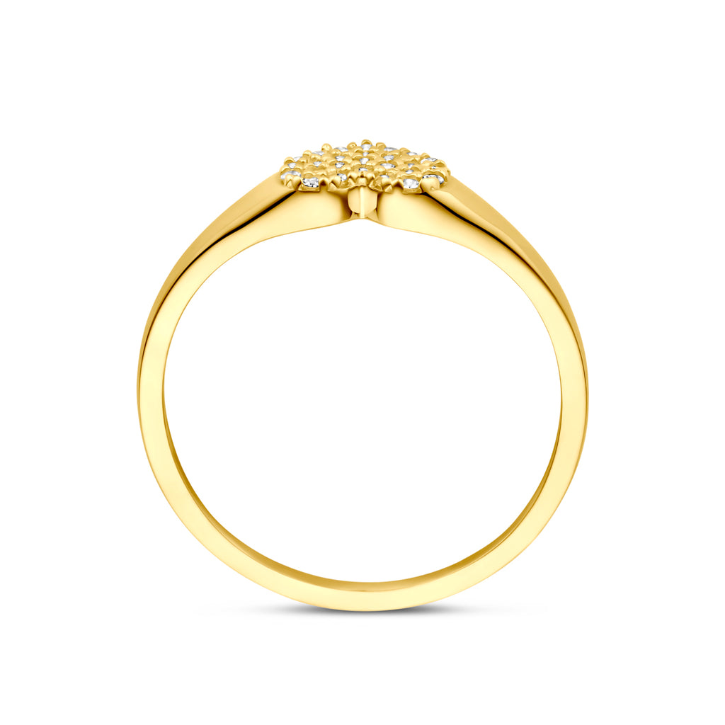 ring hart zirkonia 14K geelgoud