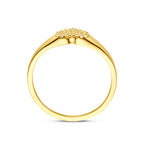 ring hart zirkonia 14K geelgoud