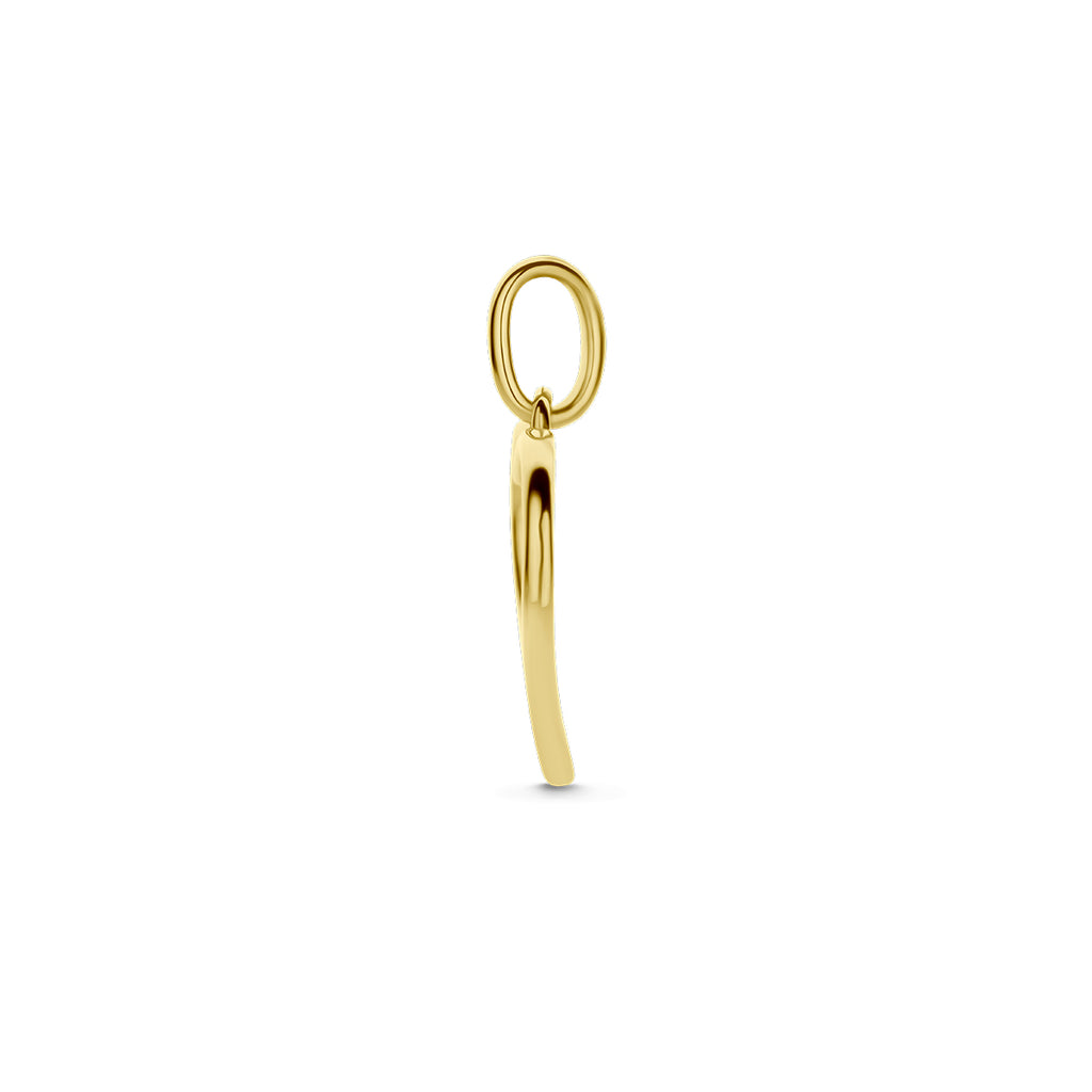 hanger hartjes zirkonia 14K bicolor goud geel/wit