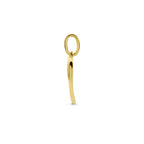 hanger hartjes zirkonia 14K bicolor goud geel/wit