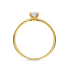 ring zirkonia 14K geelgoud