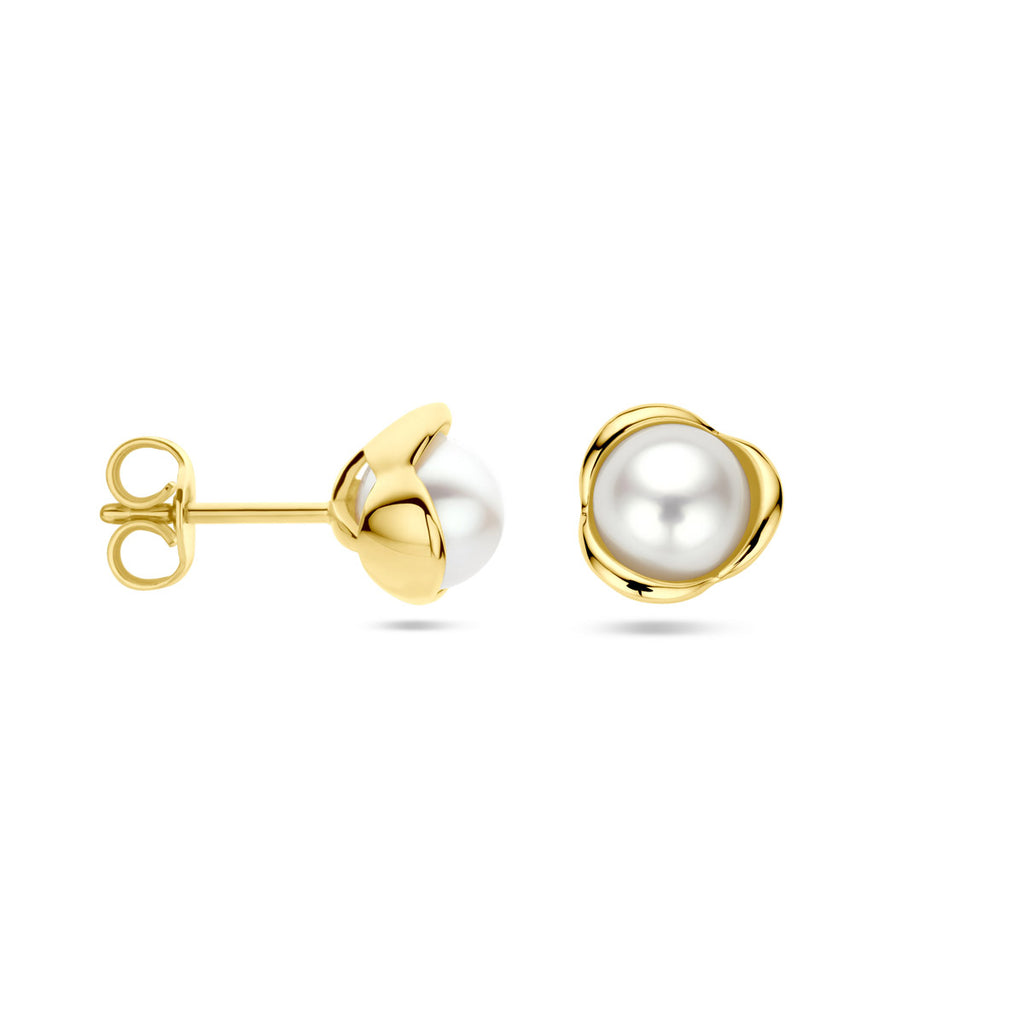 oorknoppen parel 14K geelgoud