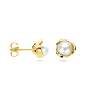 oorknoppen parel 14K geelgoud