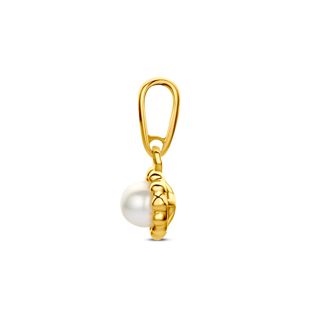 hanger parel 5,5 mm 14K geelgoud