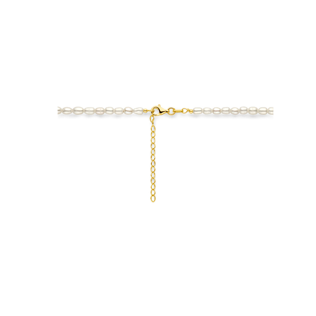 collier 3,8 mm 40 + 5 cm zilver verguld (geel)