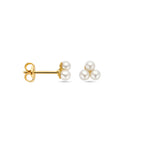 Ohrstecker Perle 5 mm 14K Gelbgold