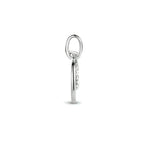 hanger rondjes zirkonia zilver gerhodineerd