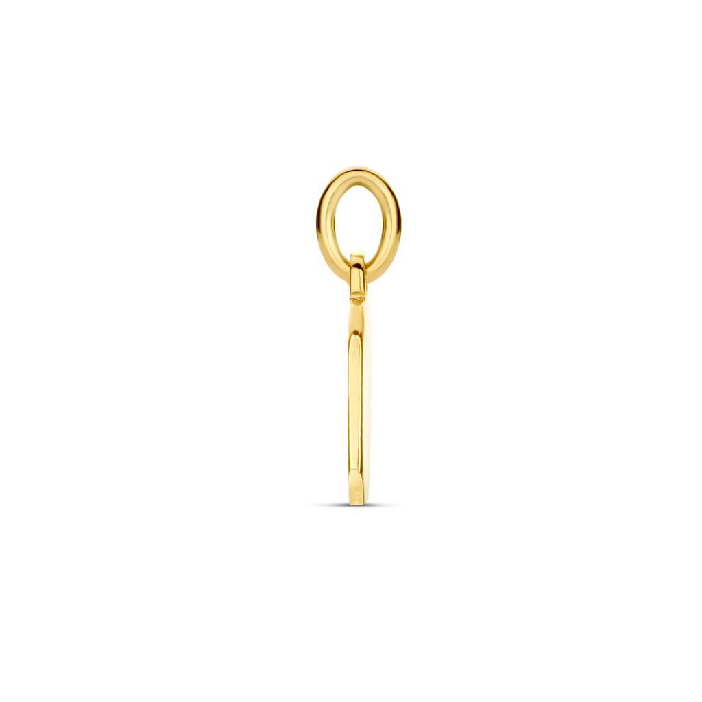 graveerhanger 14K geelgoud