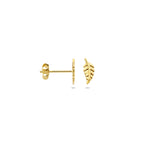 Ohrstecker Feder 8 mm 14K Gelbgold