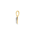 hanger hart zirkonia 14K bicolor goud geel/wit