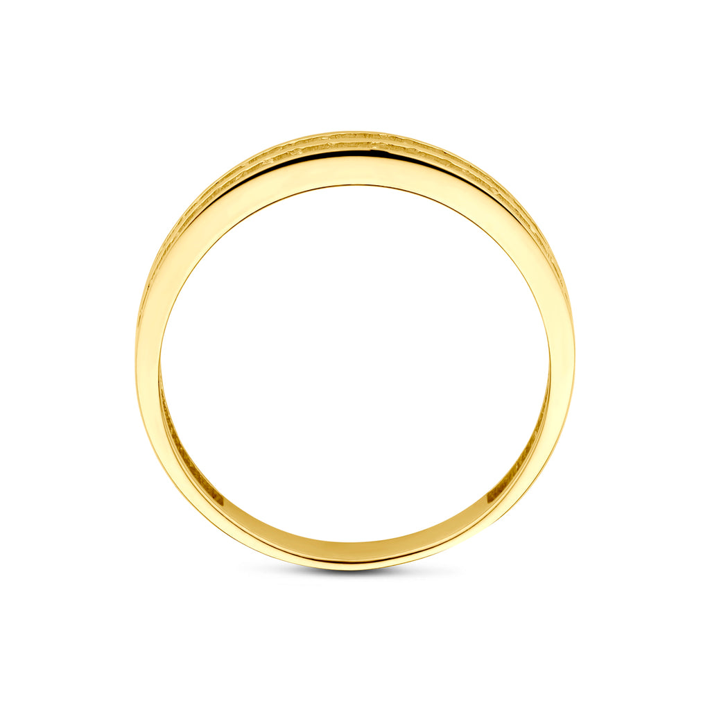 ring zirkonia 14K geelgoud