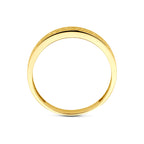 ring zirkonia 14K geelgoud