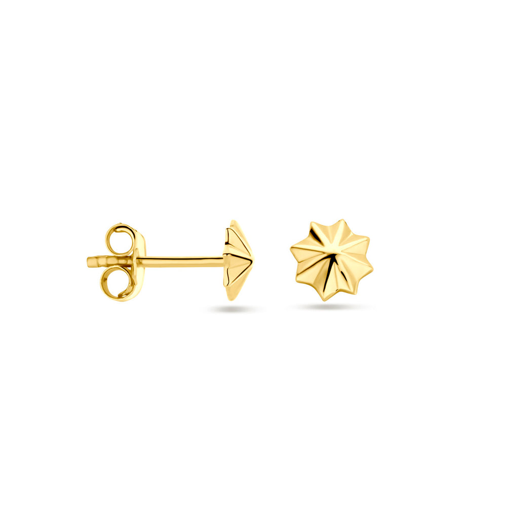 Ohrstecker 5,5 mm 14K Gelbgold