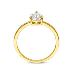 ring zirkonia 14K geelgoud