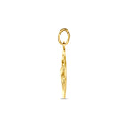 hanger sterrenbeeld gediamanteerd 14K geelgoud