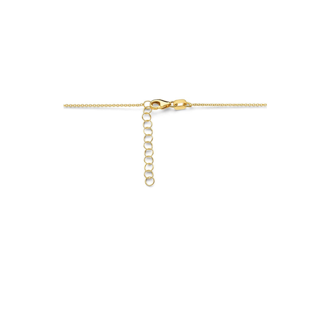 graveercollier plaat 16 mm 41 + 4 cm 14K geelgoud - plaat,buis,spijltje