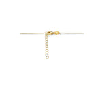 graveercollier plaat 16 mm 41 + 4 cm 14K geelgoud - plaat,buis,spijltje