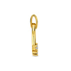 hanger lab grown diamant 0.32ct f vs 21 mm 14K geelgoud