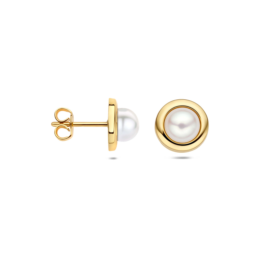 oorknoppen parel 14K geelgoud