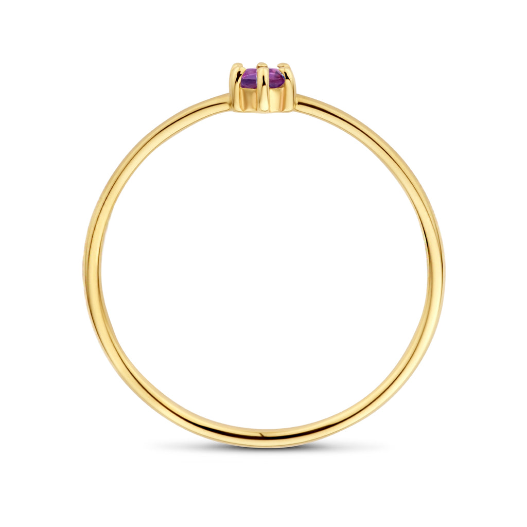 Ring mit Geburtsstein Amethyst Februar 14K Gelbgold