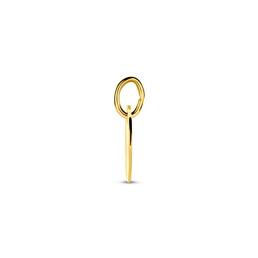 Gravur-Anhänger rund gehämmert 10 mm 14K Gelbgold