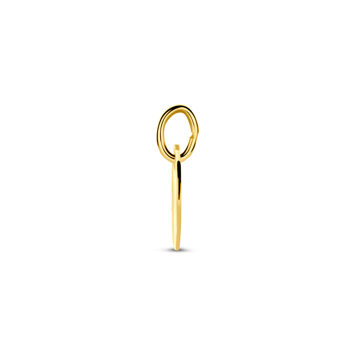 Gravur-Anhänger rund gehämmert 10 mm 14K Gelbgold