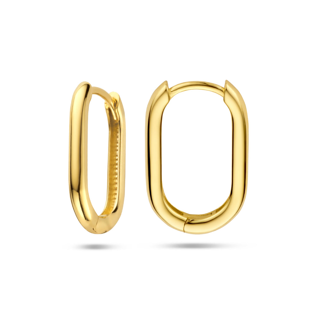 klapoorringen paperclip 14K geelgoud - ovaal