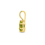 hanger met geboortesteen 14K geelgoud
