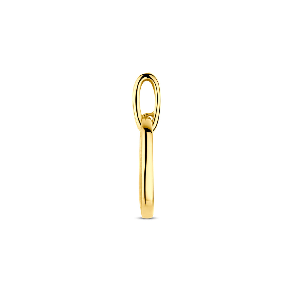 hanger poli/mat diamant 0.03ct h si 20 mm 14K geelgoud